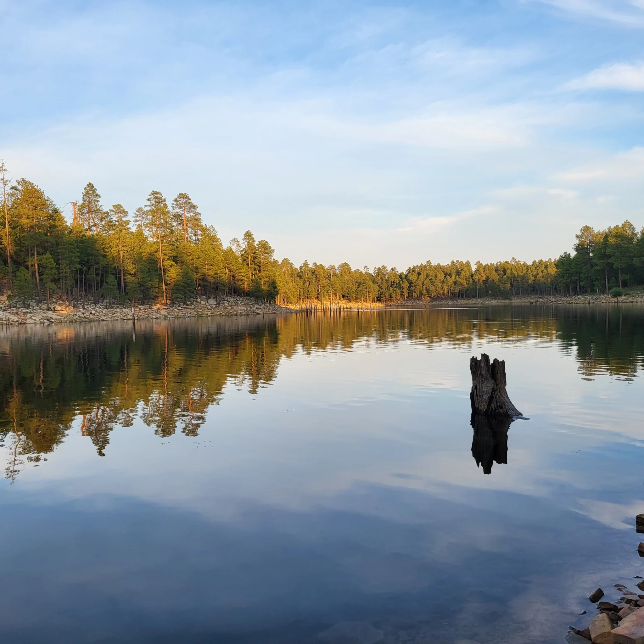Willow Springs Lake on the Mogollon Rim